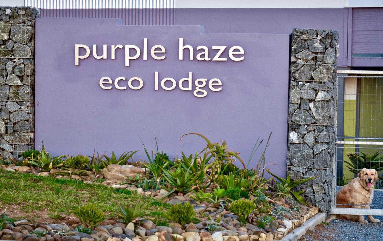 Purple Haze Eco Lodge 친트사 외부 사진